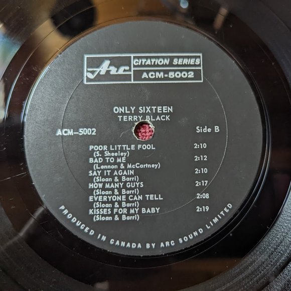 15% OFF    Vintage Vinyl LP – Only 16 – Terry Black - Released 1965 - Picture 6 of 6